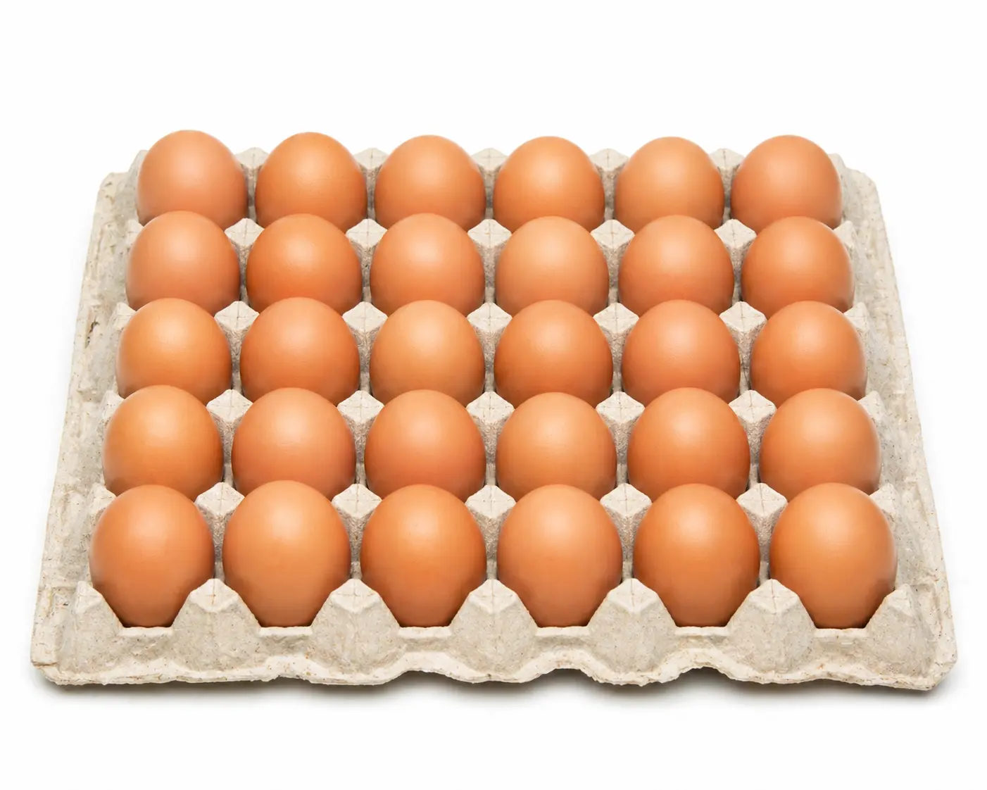 Telur Ayam Negeri